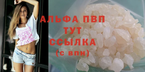 мдпв Инта