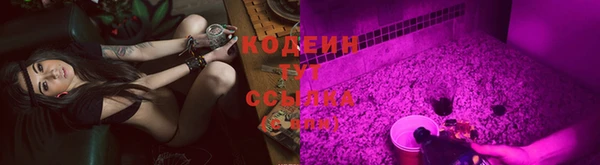 мдпв Инта