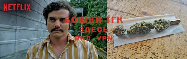 мдпв Инта