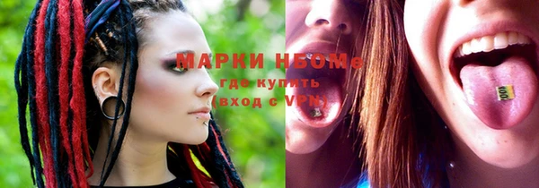 мдпв Инта
